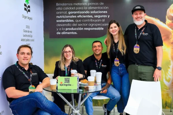 29b88072-33cf-4e6a-8f83-3f43098ba20f 29b88072-33cf-4e6a-8f83-3f43098ba20f