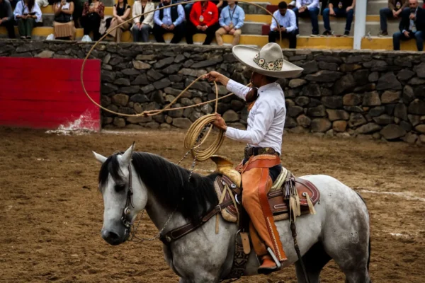 d65061ee-f4ca-4279-9ad5-0fd2fc8304a3 d65061ee-f4ca-4279-9ad5-0fd2fc8304a3