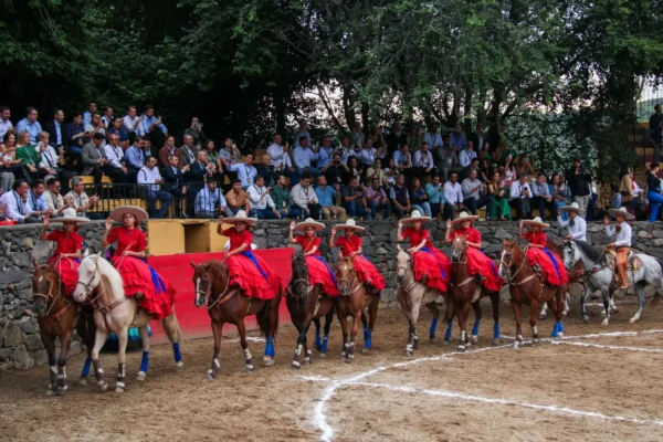 d97b0ec0-68db-4ce3-bdb3-5e5d34c17070 d97b0ec0-68db-4ce3-bdb3-5e5d34c17070