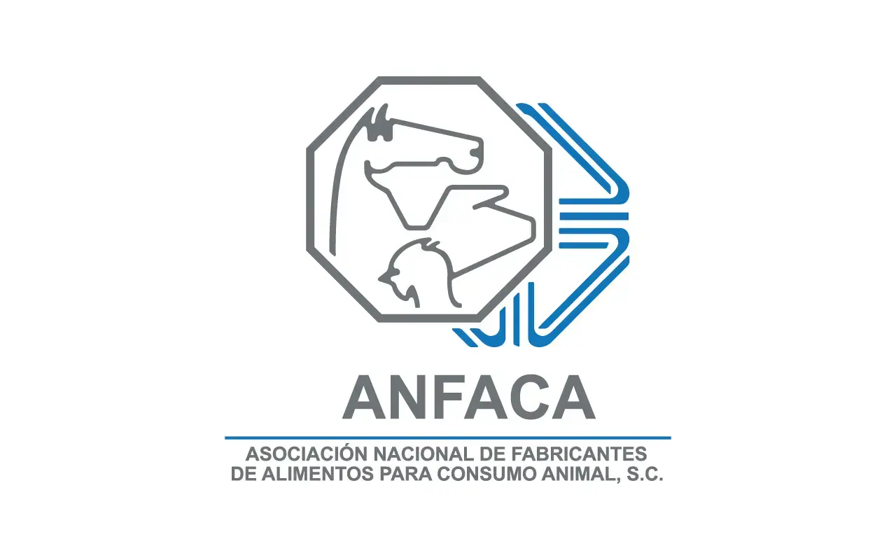 Anfaca