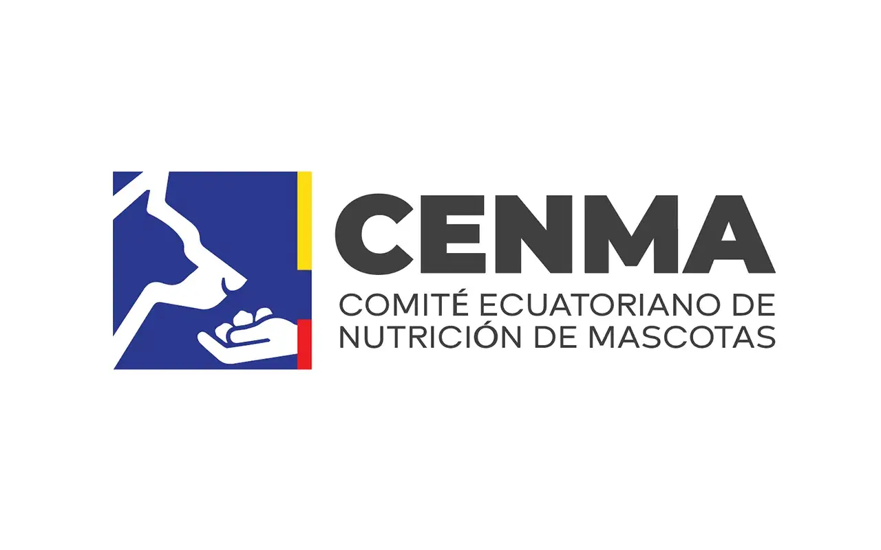 CENMA